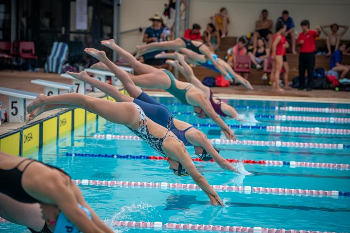 Students diving into pool